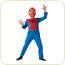 Costumatie Spiderman