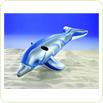 Delfin gigant