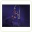 Carusel muzical cu lumini Starlight hibiscus