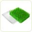 Lawn - suport pentru uscat (verde)