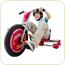 Tricicleta Flash Rider 360