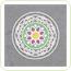 Set de creatie Mandala de exterior Flori si fluturas