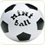 Set porti de fotbal cu minge pentru copii mini