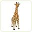 Girafa gigant din plus 