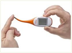 Termometru ultra-rapid cu varf flexibil Vital Baby Flexisafe, 0+