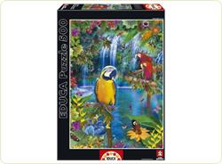 Puzzle 500 Piese - Paradisul pasarilor tropicale