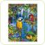 Puzzle 500 Piese - Paradisul pasarilor tropicale